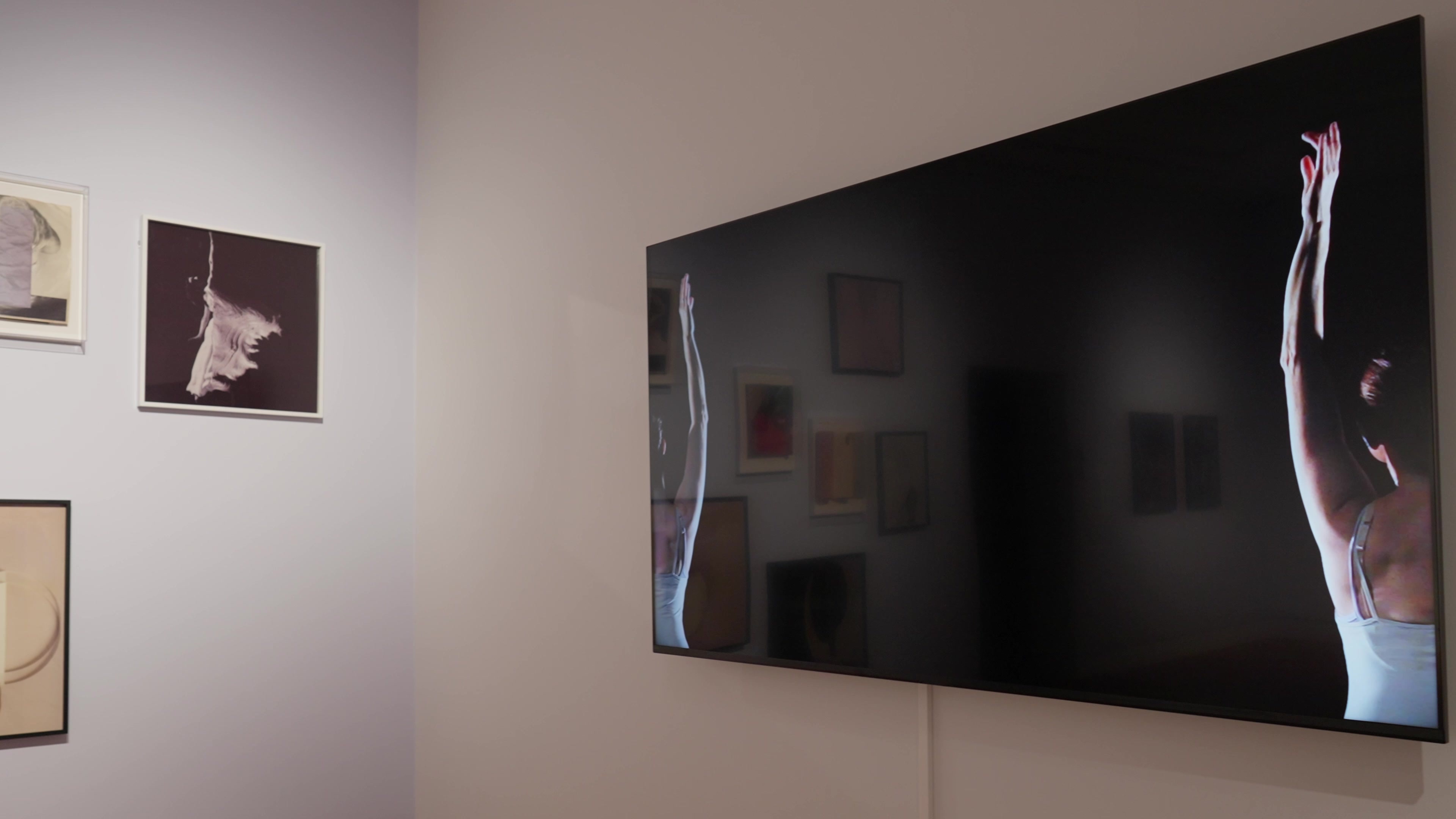 Installation view with video projections