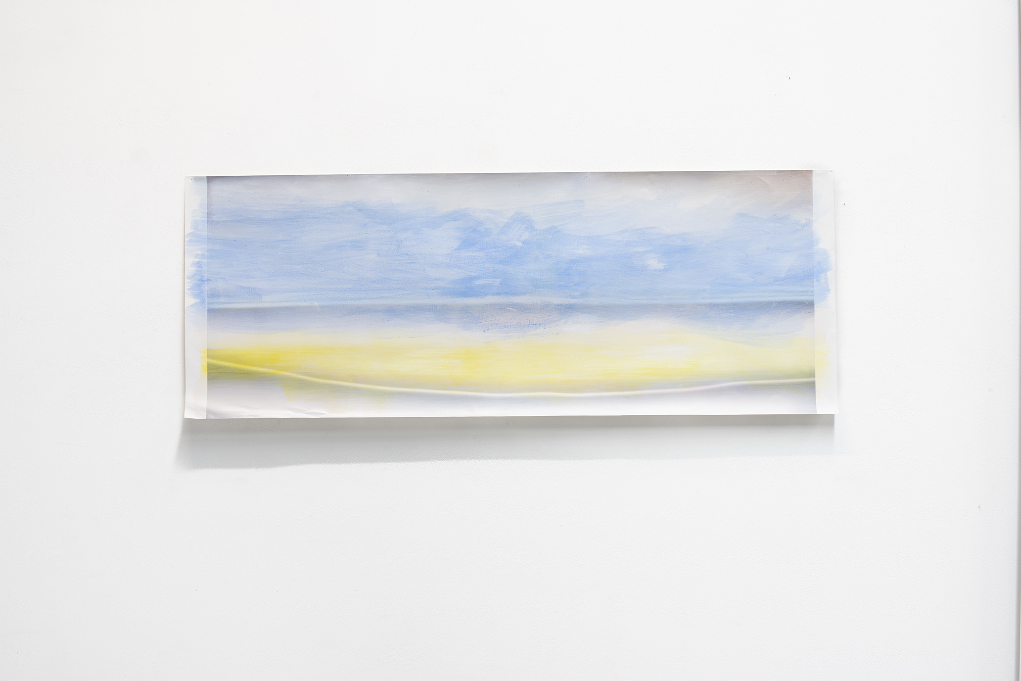 purpleslash, double sided inkjet print, ink, Dimensions variable on daguerreotype canvas